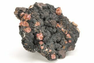 Small, Red Vanadinite Crystals on Manganese Oxide - Morocco #211998