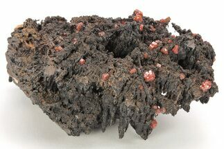 Small, Red Vanadinite Crystals on Manganese Oxide - Morocco #212009