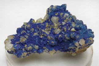 Vivid-Blue Azurite Encrusted Quartz Crystals - China #213833