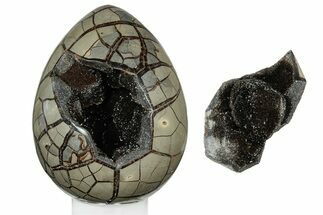 Septarian Dragon Egg Geode - Removable Section #203815
