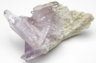 Amethyst Crystal Cluster - Las Vigas, Mexico #204530