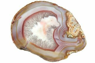 Colorful, Polished Patagonia Agate - Highly Fluorescent! #214915