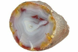 Colorful, Polished Patagonia Agate - Argentina #214916