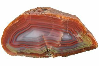 Colorful, Polished Patagonia Agate - Highly Fluorescent! #214922