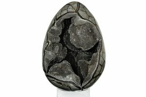 Irregular Shape One Large 100 To 300 Grams Open Dragon Septarian Gronate Geode Crystal CLUSTER Gem Stone Egg Freeform Gemstone