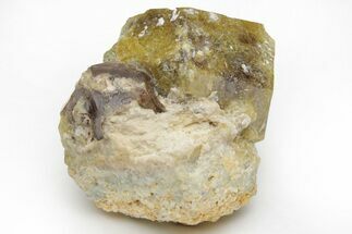 Yellow, Andradite-Grossular Mali Garnet Cluster - Kayes Region #216825
