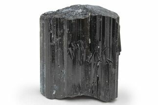 Lustrous Black Tourmaline (Schorl) Crystal - Madagascar #217283