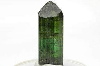 Gemmy, Bicolor Elbaite Tourmaline - Cruzeiro Mine, Brazil #217576