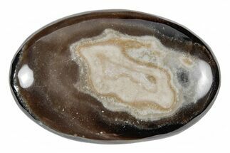 Polished Chocolate Calcite Palm Stone - Pakistan #217762