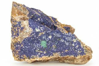 Azurite and Malachite Association on Matrix - Morocco #217777