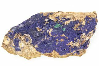 Azurite and Malachite Association on Matrix - Morocco #217779