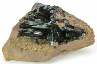 Emerald-Green Vivianite Crystals in Phosphatic Nodule - Brazil #218267