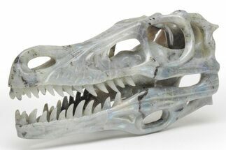 Carved Labradorite Dinosaur Skull - Roar! #218505