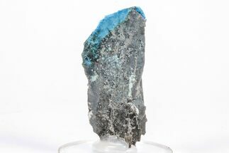 Vibrant Blue, Cyanotrichite Crystal Aggregates - China #218387