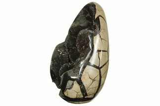 Free-Standing, Polished Septarian Geode - Black Crystals #219097