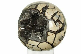 Polished, Septarian Geode Sphere - Madagascar #219111