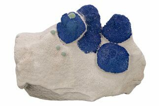 Vibrant Blue Azurite Suns on Siltstone - Australia #217993