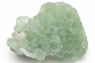 Green Cubic Fluorite Crystal Cluster - Morocco #219274