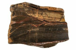 Polished Packsaddle Tiger Eye Slab - Western Australia #216755