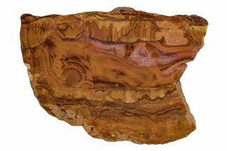 Polished Packsaddle Tiger Eye Slab - Western Australia #216758