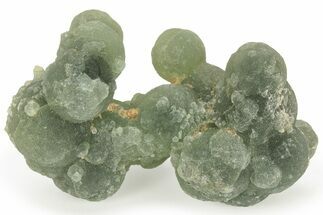 Botryoidal Prehnite - Mali #219511