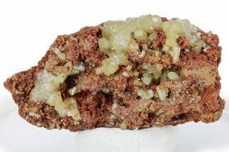 Gemmy Adamite Crystals on Matrix - Ojuela Mine, Mexico #219816