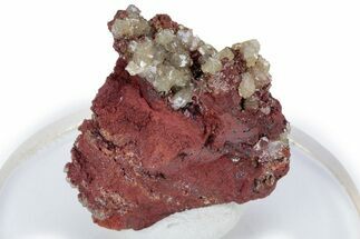 Gemmy Adamite Crystals on Limonite - Ojuela Mine, Mexico #219820