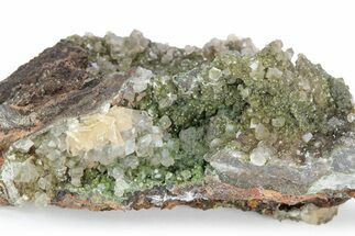 Rhombohedral Calcite and Barite on Conichalcite - Ojuela Mine #219861