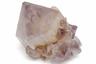 Cactus Quartz (Amethyst) Crystal - South Africa #220005