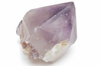 Cactus Quartz (Amethyst) Crystal - South Africa #220007