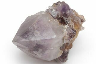 Cactus Quartz (Amethyst) Crystal - South Africa #220016