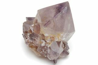 Cactus Quartz (Amethyst) Crystal - South Africa #220033