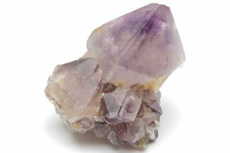 Cactus Quartz (Amethyst) Crystal - South Africa #220035