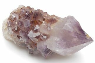 Cactus Quartz (Amethyst) Crystal - South Africa #220037
