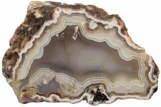 Polished Agate Nodule Section - Morocco #186943