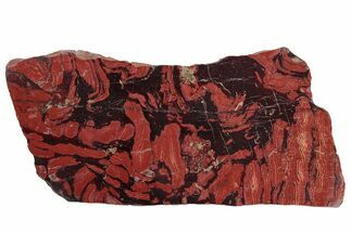 Polished Snakeskin Jasper Slab - Western Australia #221529