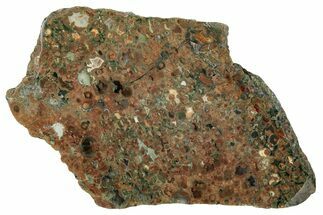 Polished Rainforest Jasper (Rhyolite) Slab - Australia #221938