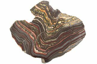 Polished Tiger Iron Stromatolite Slab - Billion Years #221814