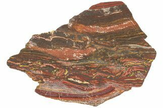 Polished Tiger Iron Stromatolite Slab - Billion Years #221830