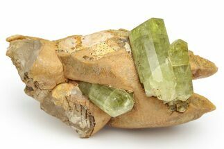 Lustrous, Yellow Apatite Crystals With Calcite - Morocco #221025