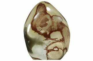 Free-Standing, Polished Polychrome Jasper - Madagascar #220799