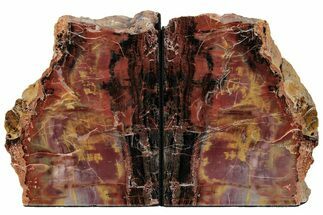 Tall, Arizona Petrified Wood Bookends - Red, Yellow, and Purple #222157