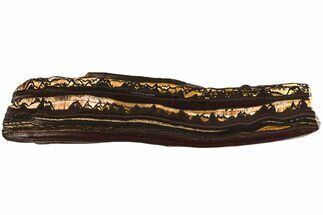 Polished Tiger Iron Stromatolite Slab - Billion Years #221973
