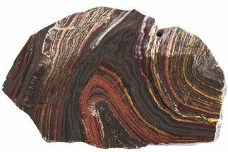 Polished Tiger Iron Stromatolite Slab - Billion Years #222040