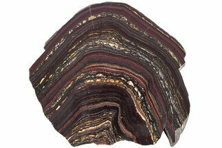 Polished Tiger Iron Stromatolite Slab - Billion Years #222056