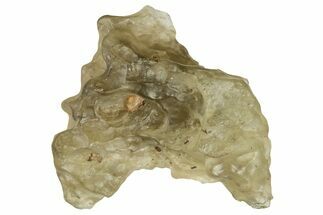 Libyan Desert Glass ( grams) - Meteorite Impactite #222813