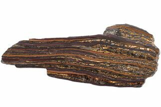 Polished Tiger Iron Stromatolite Slab - Billion Years #222075