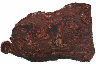Polished Tiger Iron Stromatolite Slab - Billion Years #222108