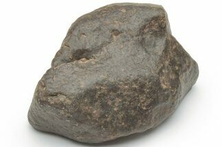 Chondrite Meteorite ( grams) - Western Sahara Desert #223102