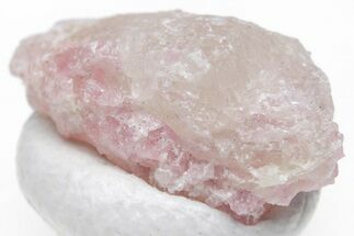 Pink Tourmaline (Rubellite) Crystal - Brazil #221613
